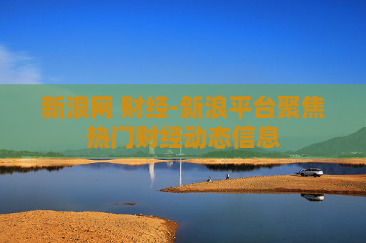 新浪网 财经-新浪平台聚焦热门财经动态信息