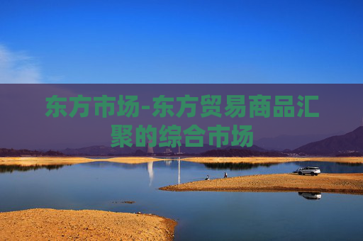东方市场-东方贸易商品汇聚的综合市场