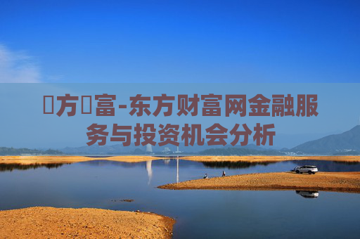東方財富-东方财富网金融服务与投资机会分析