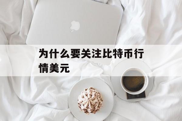 为什么要关注比特币行情美元