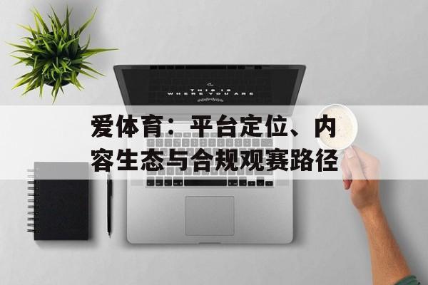 爱体育：平台定位、内容生态与合规观赛路径